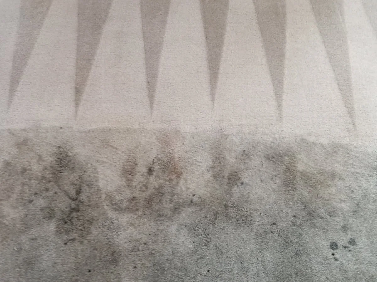 Before and after professional carpet cleaning by Eco Clean in the Rocklin area